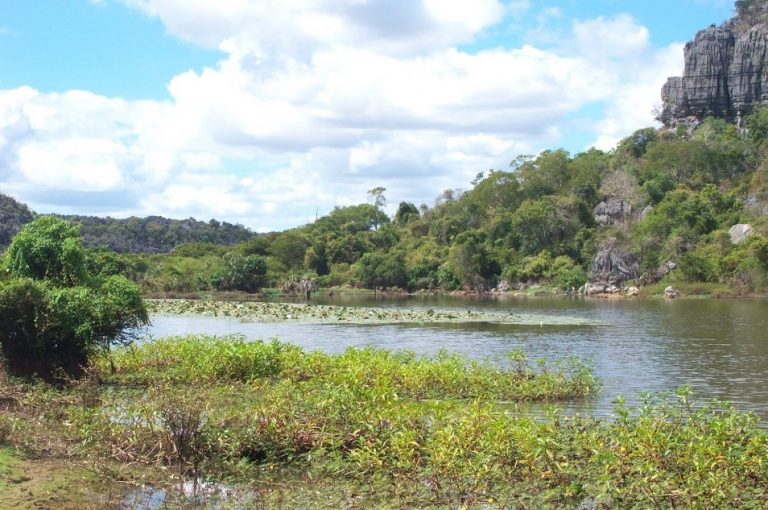 Étude d’impact environnemental du projet d’Acquisition sismique 3D Antsiranana Bloc 1101