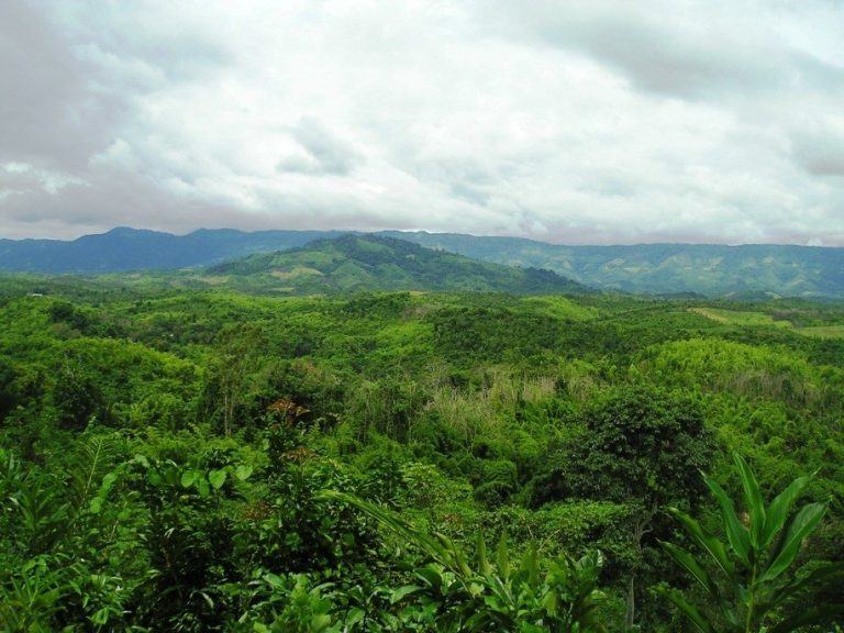 Scoping environnemental (étude de cadrage) de deux zones d’investissement écotouristique ZIE dans la zone nord de l’Île (Montagne d’Ambre et Ankarana)