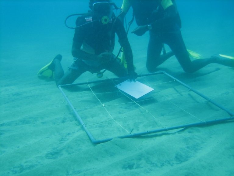 Étude d’impact environnemental et social du Projet « EASsy : point d’atterrissement de la fibre optique à Tuléar ».