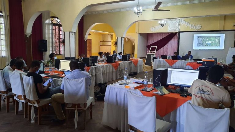 Formation en SIG