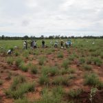 Réalisation des études d’impact environnemental et social (EIES) et les notices d’impact environnemental et social (NIES) des neuf (9) sous-projets Matching Grant du PDACG