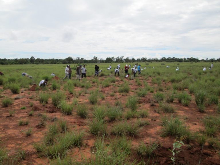 Réalisation des études d’impact environnemental et social (EIES) et les notices d’impact environnemental et social (NIES) des neuf (9) sous-projets Matching Grant du PDACG